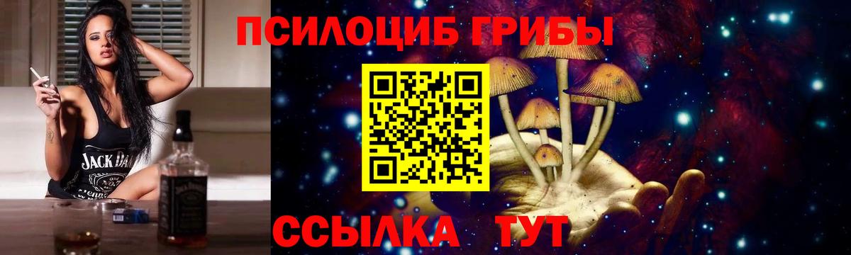 Галлюциногенные грибы Cubensis  Вход с VPN  Кинешма 